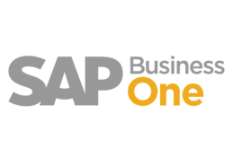 SAP Business One (2)